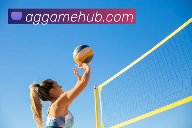 AG真人游戏平台平台生态图